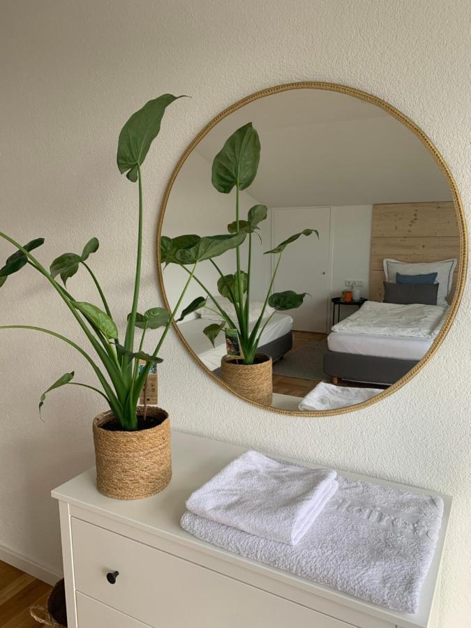 Schoene, Grosse Ferienwohnung Direkt Am Donauradweg & Keltenstadt Heuneburg Herbertingen Exteriér fotografie