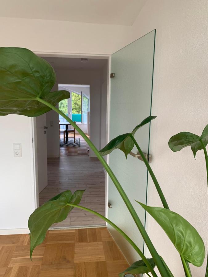 Schoene, Grosse Ferienwohnung Direkt Am Donauradweg & Keltenstadt Heuneburg Herbertingen Exteriér fotografie