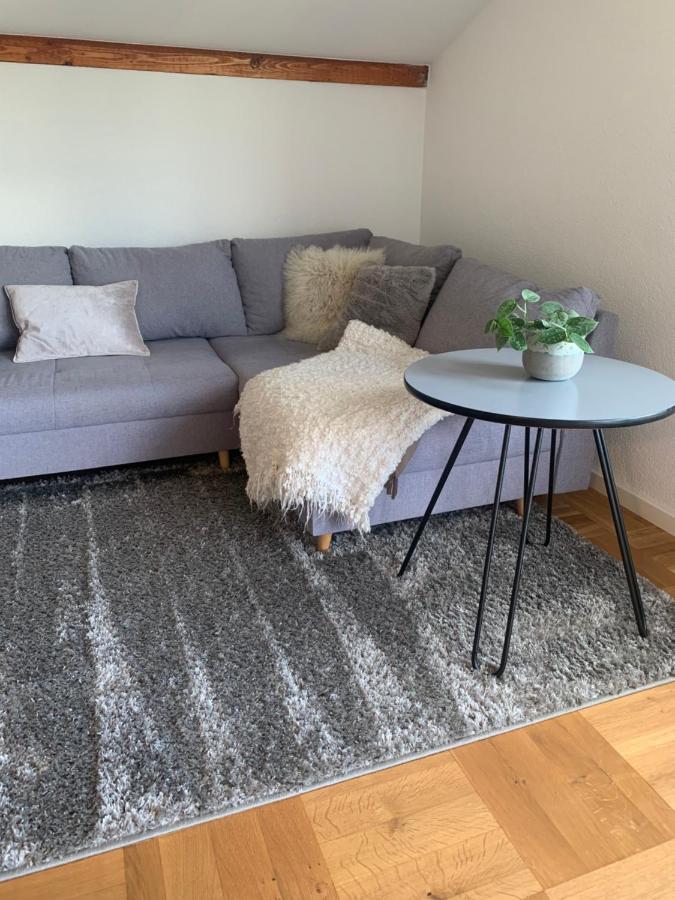 Schoene, Grosse Ferienwohnung Direkt Am Donauradweg & Keltenstadt Heuneburg Herbertingen Exteriér fotografie